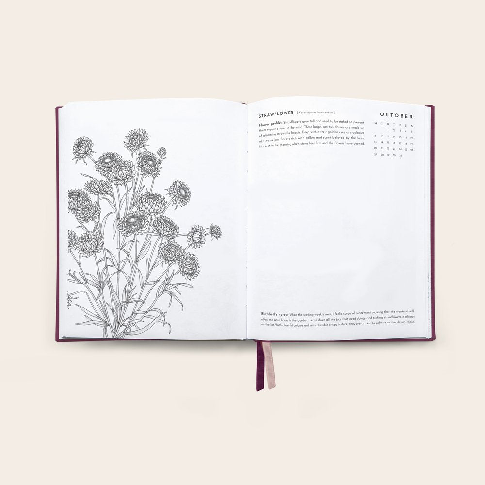 Typoflora planner 2025